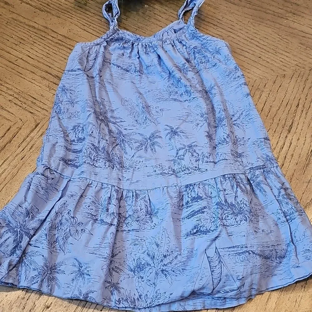 Gap Blue Floral Sleeveless Dress Size S